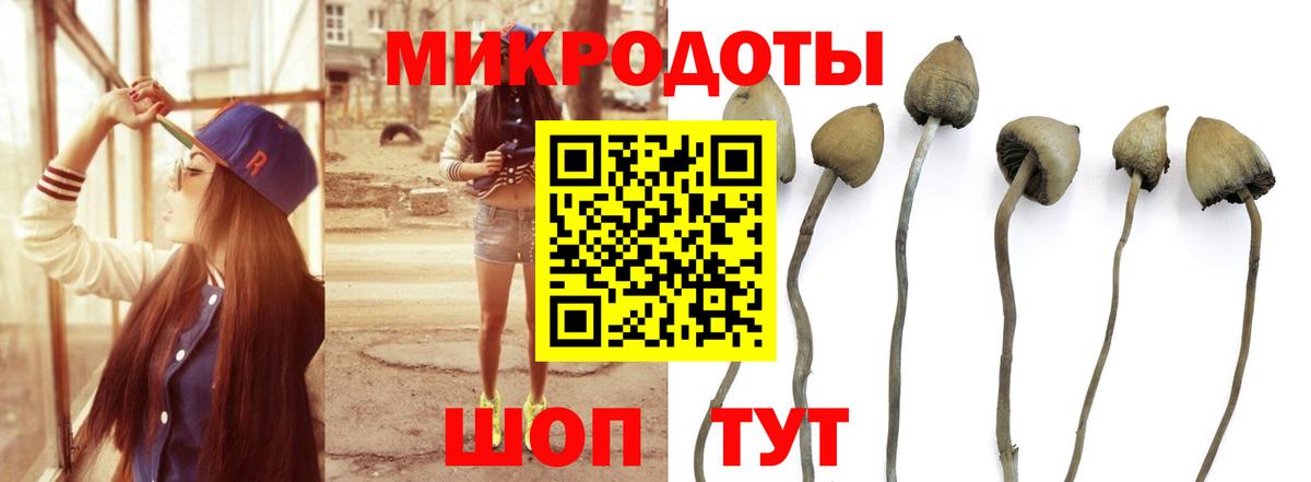 Псилоцибиновые грибы Psilocybine cubensis  Вход с VPN  Камышин 